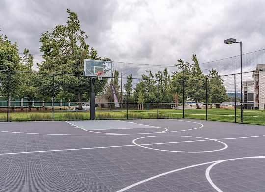 A basketball court with a hoop and a net at Marcola Apartment Homes, Forest Grove, 97477