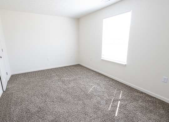 A room with a carpeted floor and a window.
