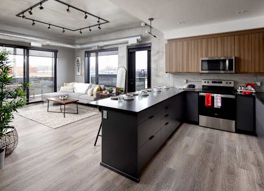 Kitchen And Living Area at Damask, Windsor, N8S 0B7