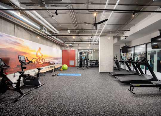 Well-equipped fitness facility at Damask, Ontario, N8S 0B7