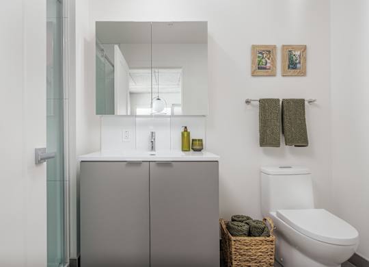 Primary Bathroom at Lynk De la Savane Apartments, Montreal, H4P 0E2