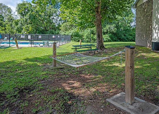 A green lawn with a swing set and a tree at Sawbranch Apartments, Summerville