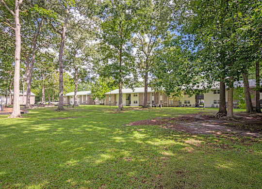 A green lawn with trees and buildings in the background at Sawbranch Apartments, Summerville 29485