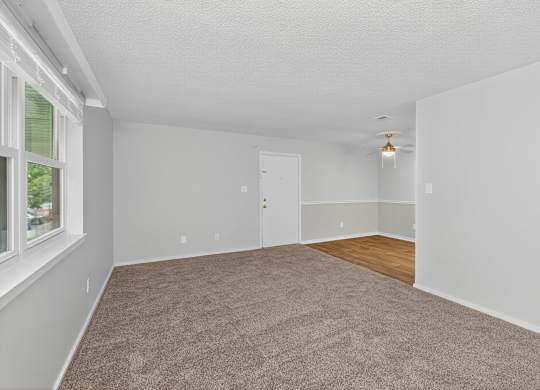 A room with white walls and a carpeted floor at Sawbranch Apartments, Summerville 29485