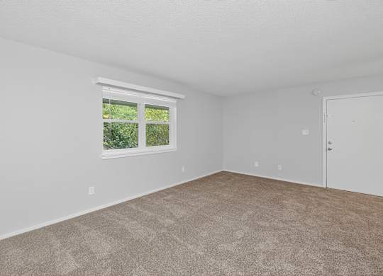 A room with a carpeted floor, a window, and a door at Sawbranch Apartments, South Carolina