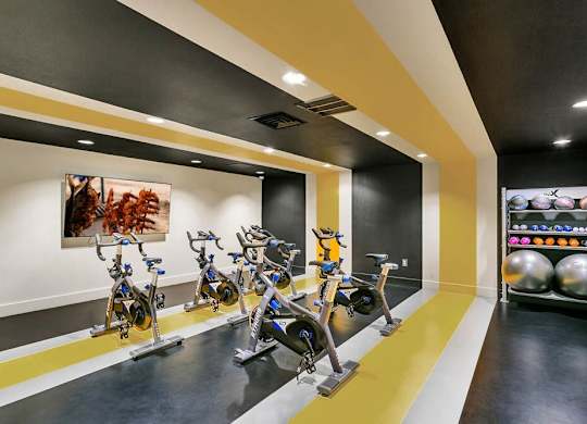 A gym with exercise bikes and a shelf of exercise balls. at The Lex At Lowry, Denver, 80224