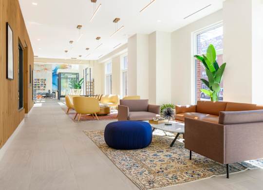 A living room with a blue rug and a brown couch.at The Vale at the Parks, Washington District of Columbia  