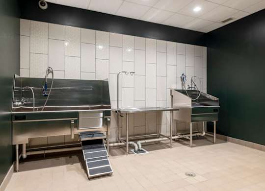 Pet Wash at The Vale at the Parks, District of Columbia  