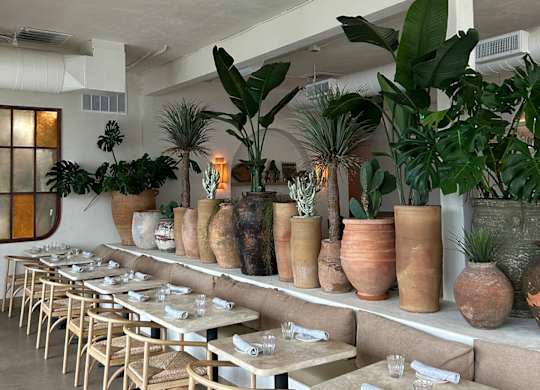A restaurant with tables and chairs and potted plants on the wall.
