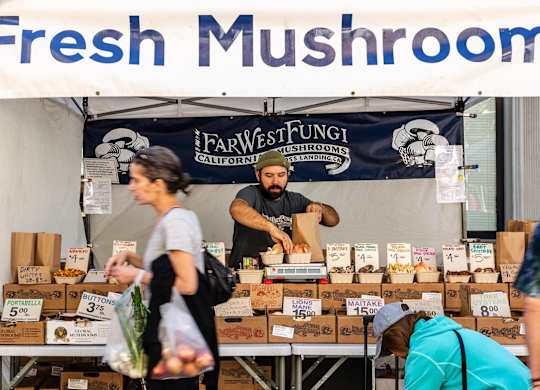 Neighborhood Mushroom Shop at Channel House, Oakland, 94607