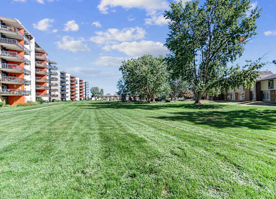 A grassy field with a tree and apartment buildings in the background. at The Lex At Lowry, Colorado