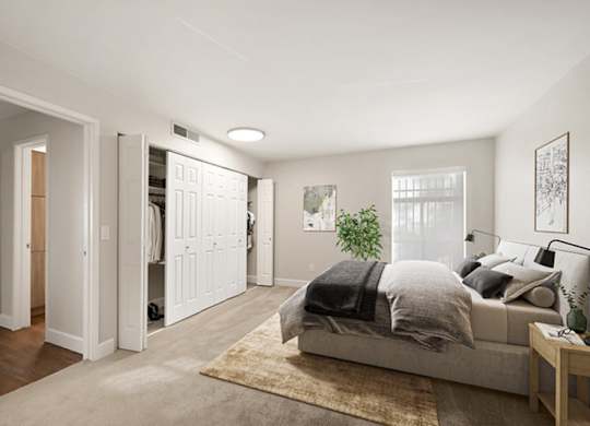 A bedroom with a bed, a rug, and a plant. at The Lex At Lowry, Denver