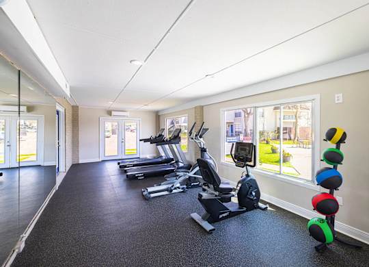 A gym with treadmills, elliptical machines, and a row of exercise balls.
