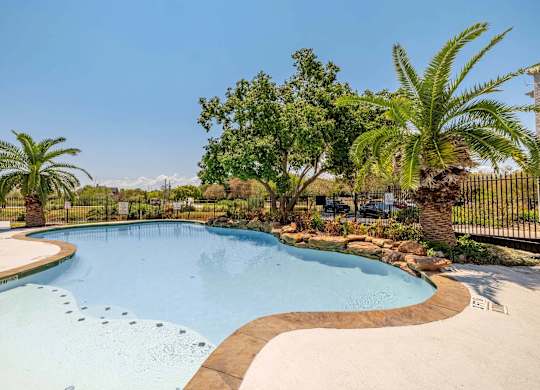 A large outdoor swimming pool surrounded by palm trees and a fence.