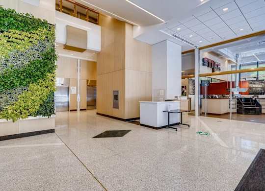 A green plant wall in a white hallway.