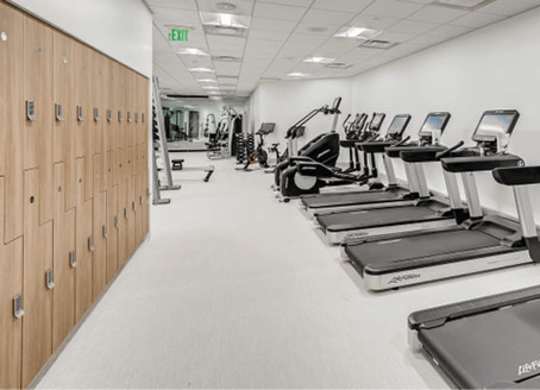 A gym with treadmills and exercise equipment.