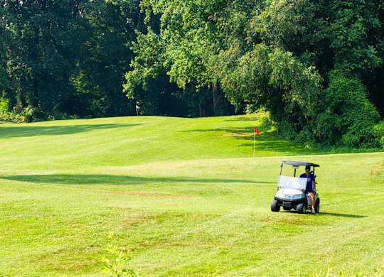 Golf Cart at The Vale at the Parks, Washington, 20012  