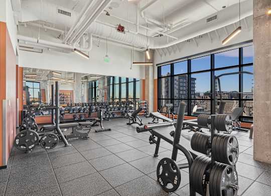 Gym with variety of weightlifting equipments at Velaris Living Apartments, Denver, Colorado