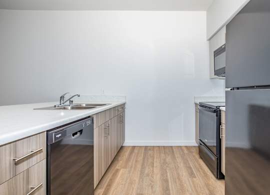 A modern kitchen with a sink, dishwasher, and oven.