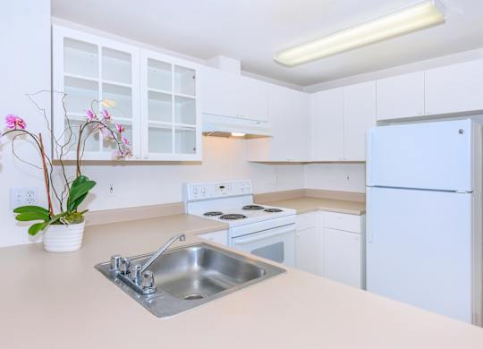 A kitchen with a white fridge, sink, and cabinets.