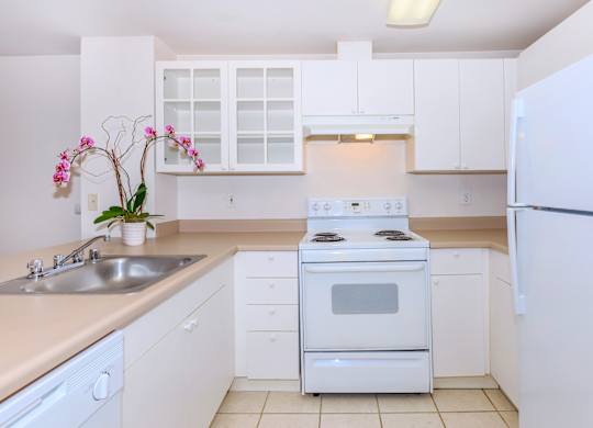 A white kitchen with a stove, sink, and cabinets.