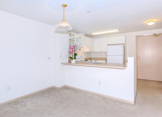 A room with a white wall and a brown door.