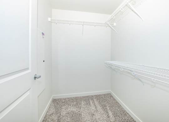 A white closet with a carpeted floor and a door.