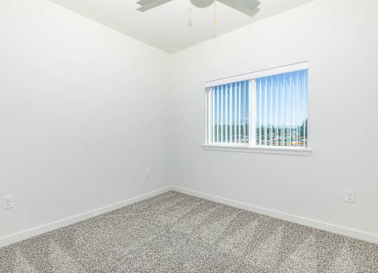 A room with a carpeted floor and a window with blinds.