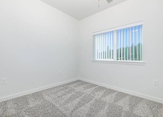A room with a carpeted floor and a window with blinds.