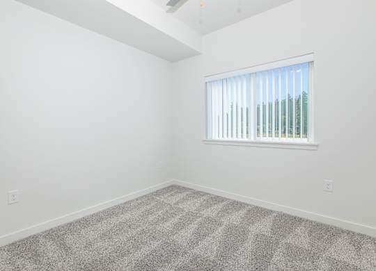 A room with a carpeted floor and a window with blinds.