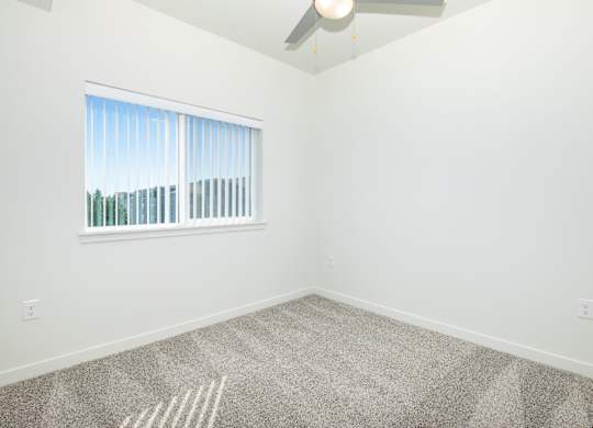 A room with a carpeted floor and a window with blinds.