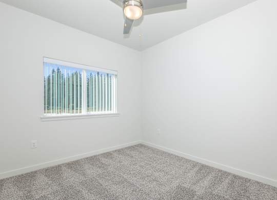 A room with a carpeted floor and a ceiling fan.
