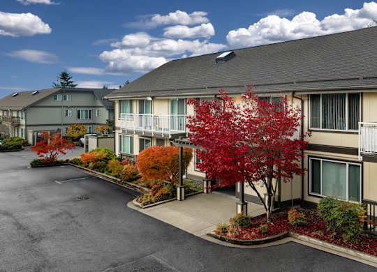 A tree with red leaves is in front of a building.