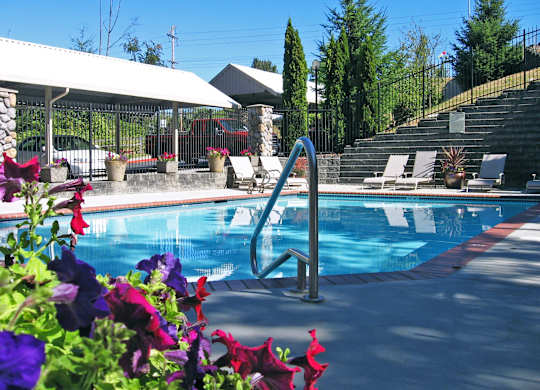 A pool surrounded by flowers and a metal fence.