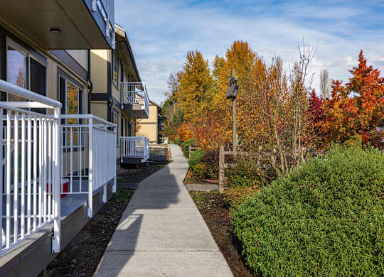 A sidewalk leads from a building to a tree-lined street.