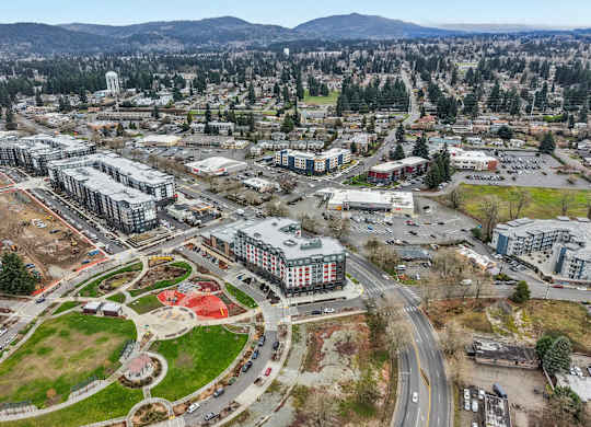 A large aerial view of a city with buildings, roads, and a green space.