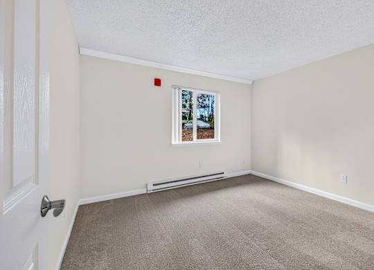 A room with a carpeted floor and a window showing a view of trees and a house.
