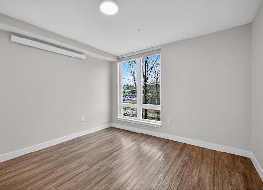 A room with a window showing a tree outside.