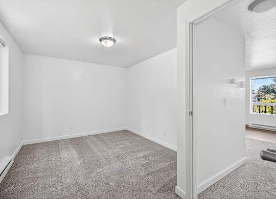 A room with a carpeted floor and a window showing a view of trees.