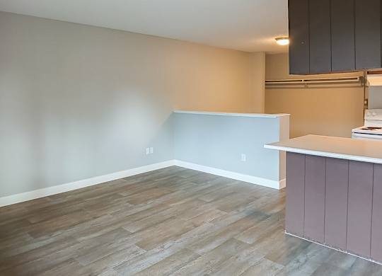 A room with a wooden floor and a white counter.