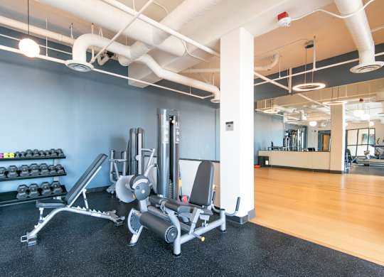 A gym with a variety of equipment including weights and a bench press.
