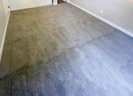A room with a carpeted floor and two white doors.