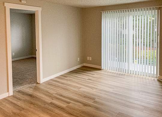 A room with a wooden floor and a sliding glass door.