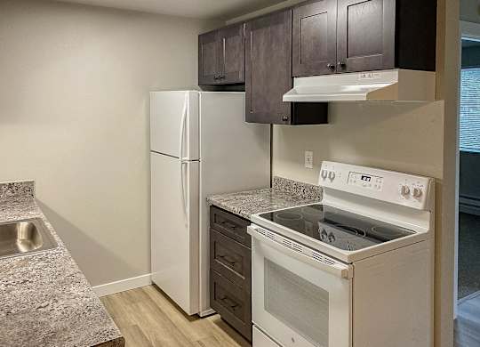 A kitchen with a white fridge and stove.