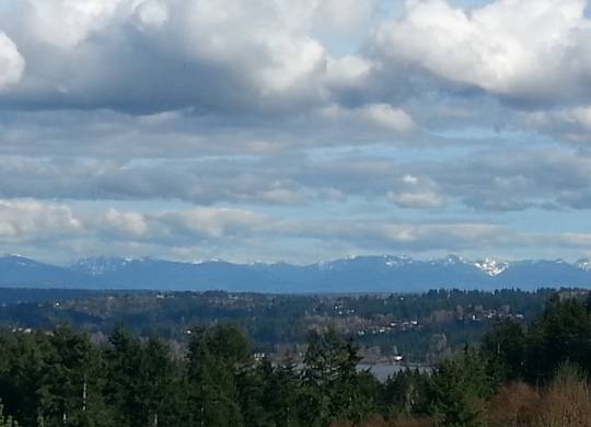 A landscape with trees and mountains in the distance under a cloudy sky.