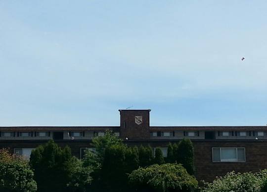 A building with a chimney and trees in front of it.