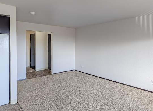 A room with a carpeted floor and a white wall.
