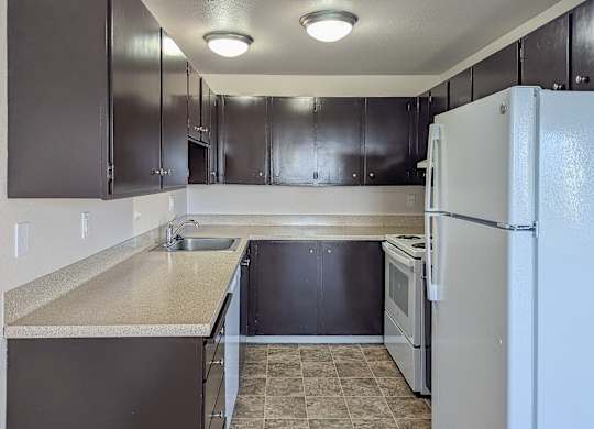 A kitchen with a white refrigerator, black cabinets, and a sink.