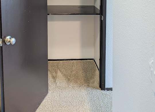 A black door with a silver handle is open to a white wall.