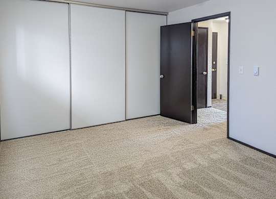 A room with a carpeted floor, a black door, and a white wall.